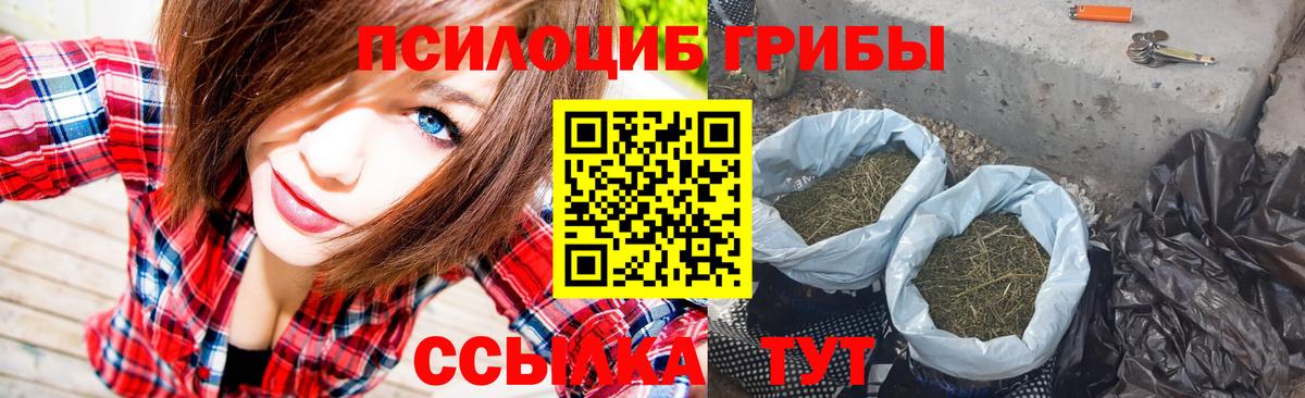 Псилоцибиновые грибы Psilocybine cubensis  Вход с VPN  Галлюциногенные грибы ЛСД  Новочеркасск 